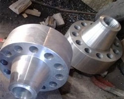 ASTM A182 Stainless Steel 317L Flanges Suppliers in Malaysia 