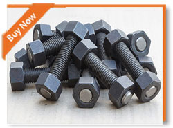 Incoloy 800 Uns N 08800 1.4876 Stus Bolts