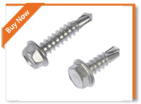 Inconel Self Tapping Screw