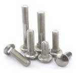 Stainless Steel 310S Draw Bolt