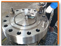 Carbon Steel Flange Manufacturer in India 