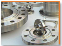 304 Stainless Steel Flanges Manufacturers in India