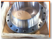 321H Stainless Steel Flanges Manufacturers in India