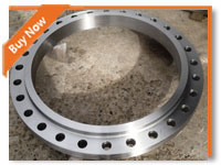 stainless steel 316 flange for industry 