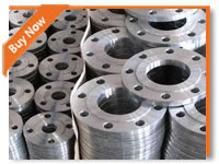 stainless steel forged flange manufacturers 