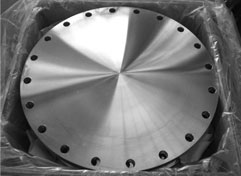 Stainless Steel Plate/Forged Blind Flange (BL)